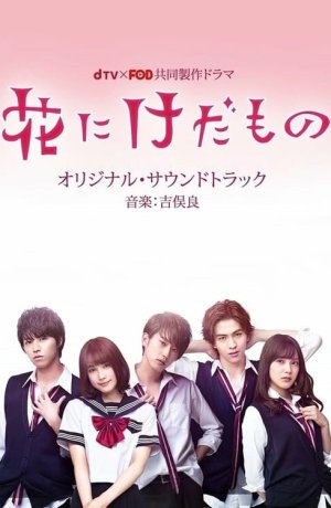 Дорама Цветок для зверя онлайн