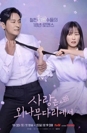 Дорама Любовь на узком мостике онлайн